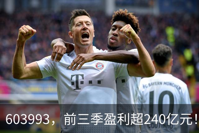 603993，前三季盈利超240亿元！已超去年全年！